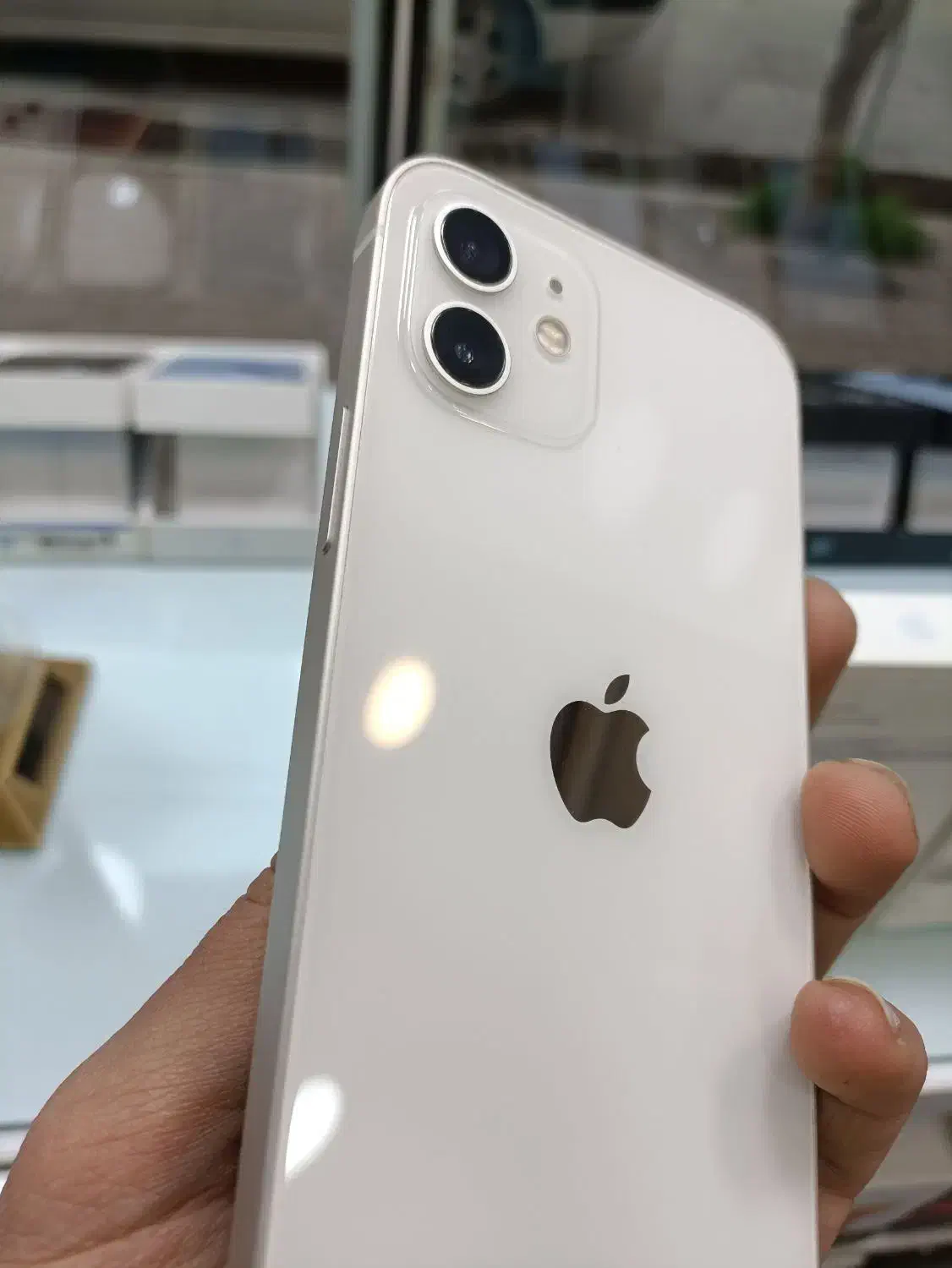 apple12 normal|موبایل|بوکان, |دیوار