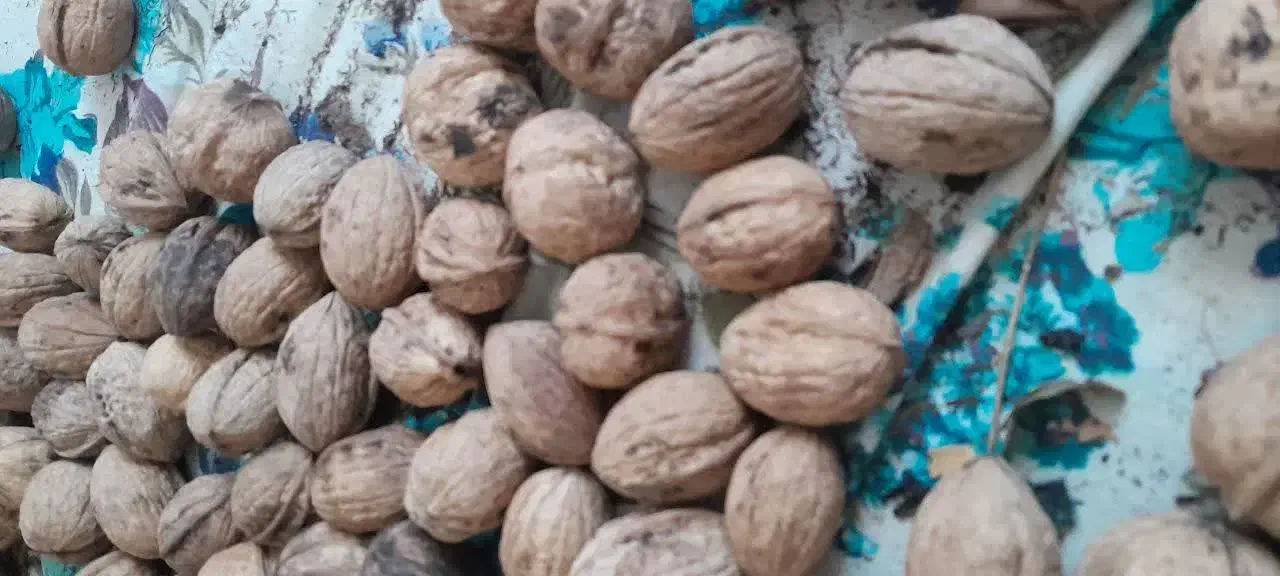 گردوباپوست موجودکیلو370|خوردنی و آشامیدنی|بهشهر, |دیوار