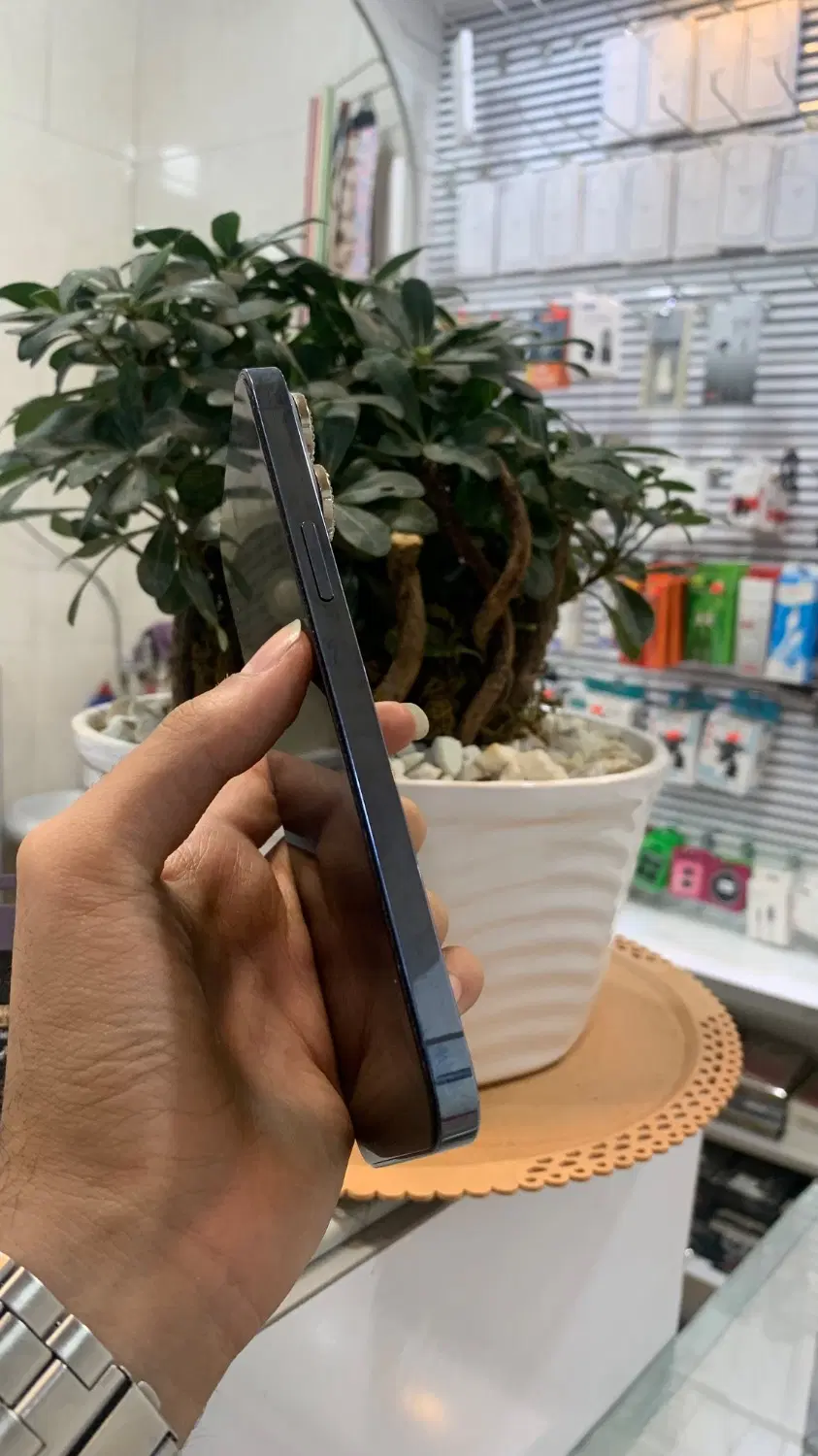 iphone 13 promax|موبایل|تهران, هاشمآباد|دیوار