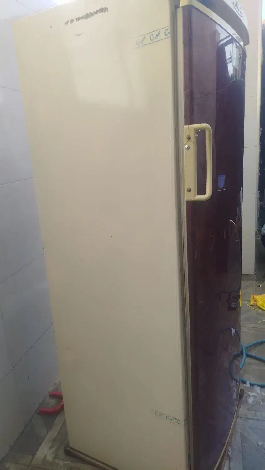 یک عدد یخچال|یخچال و فریزر|داراب, |دیوار