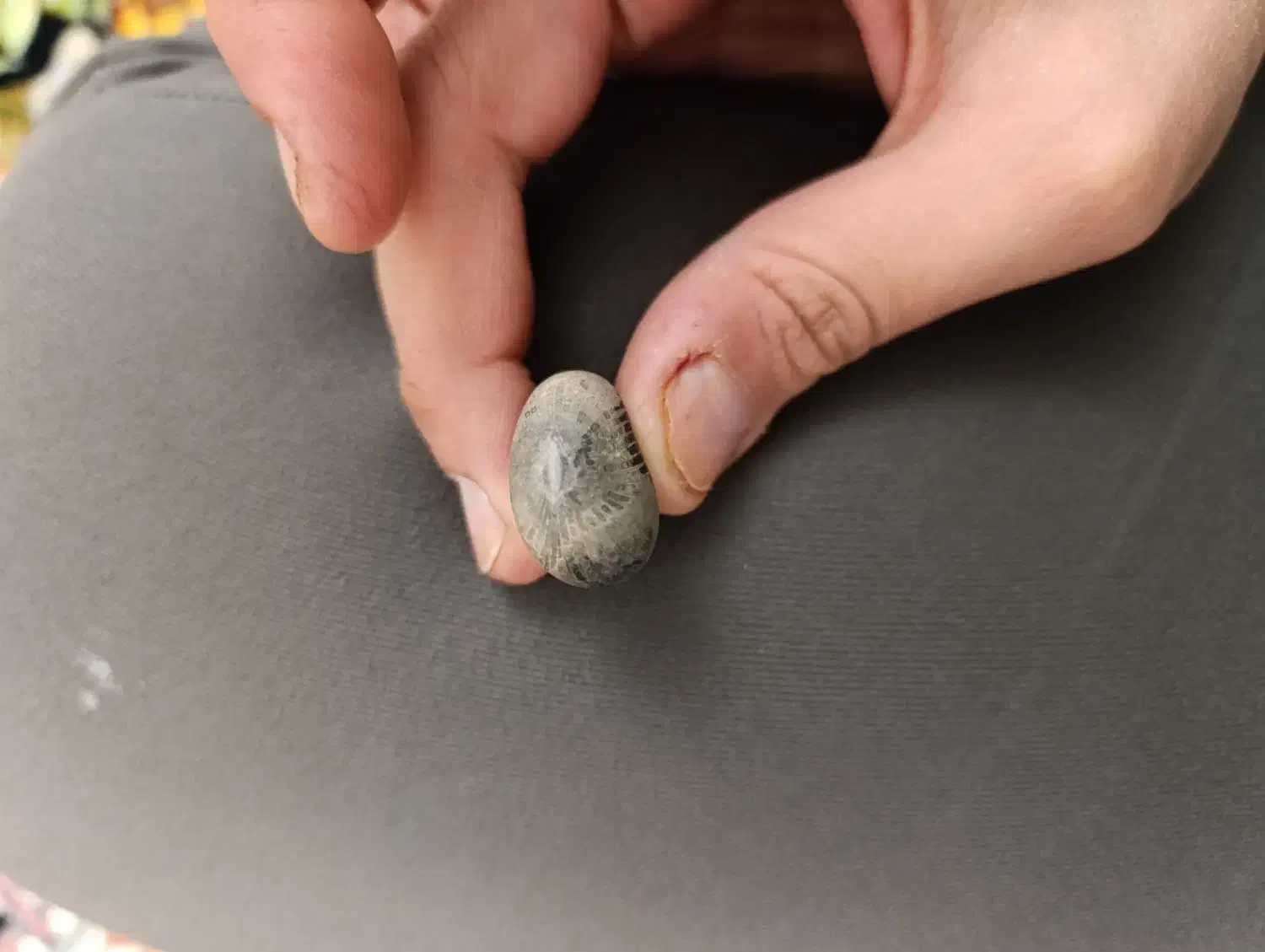 سنگ فوق خاص، شهاب سنگ ، عقیق اصل|کلکسیون اشیاء عتیقه|گرگان, |دیوار