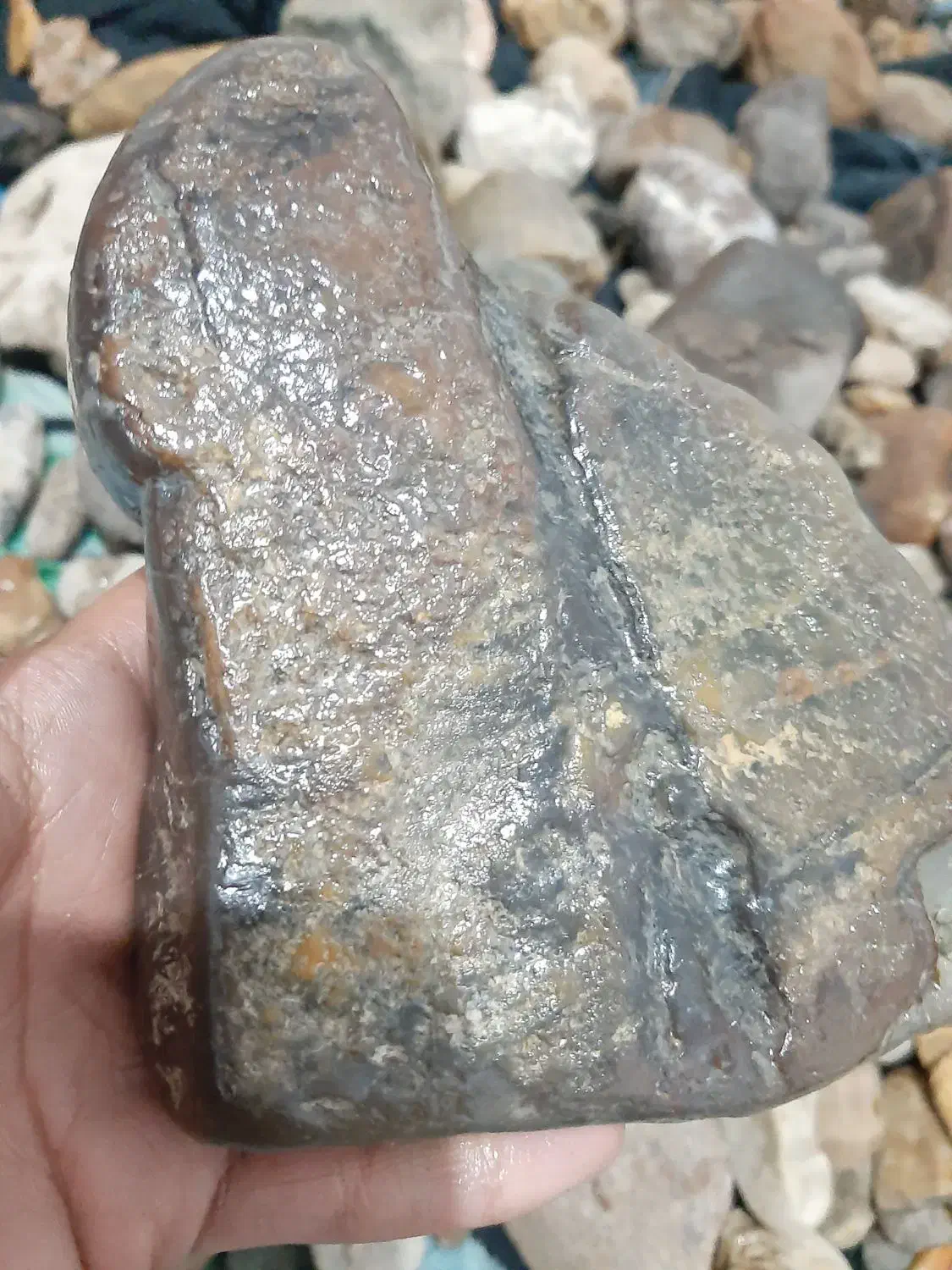 سنگ های قیمتی و نیمه قیمتی|جواهرات|ساری, |دیوار