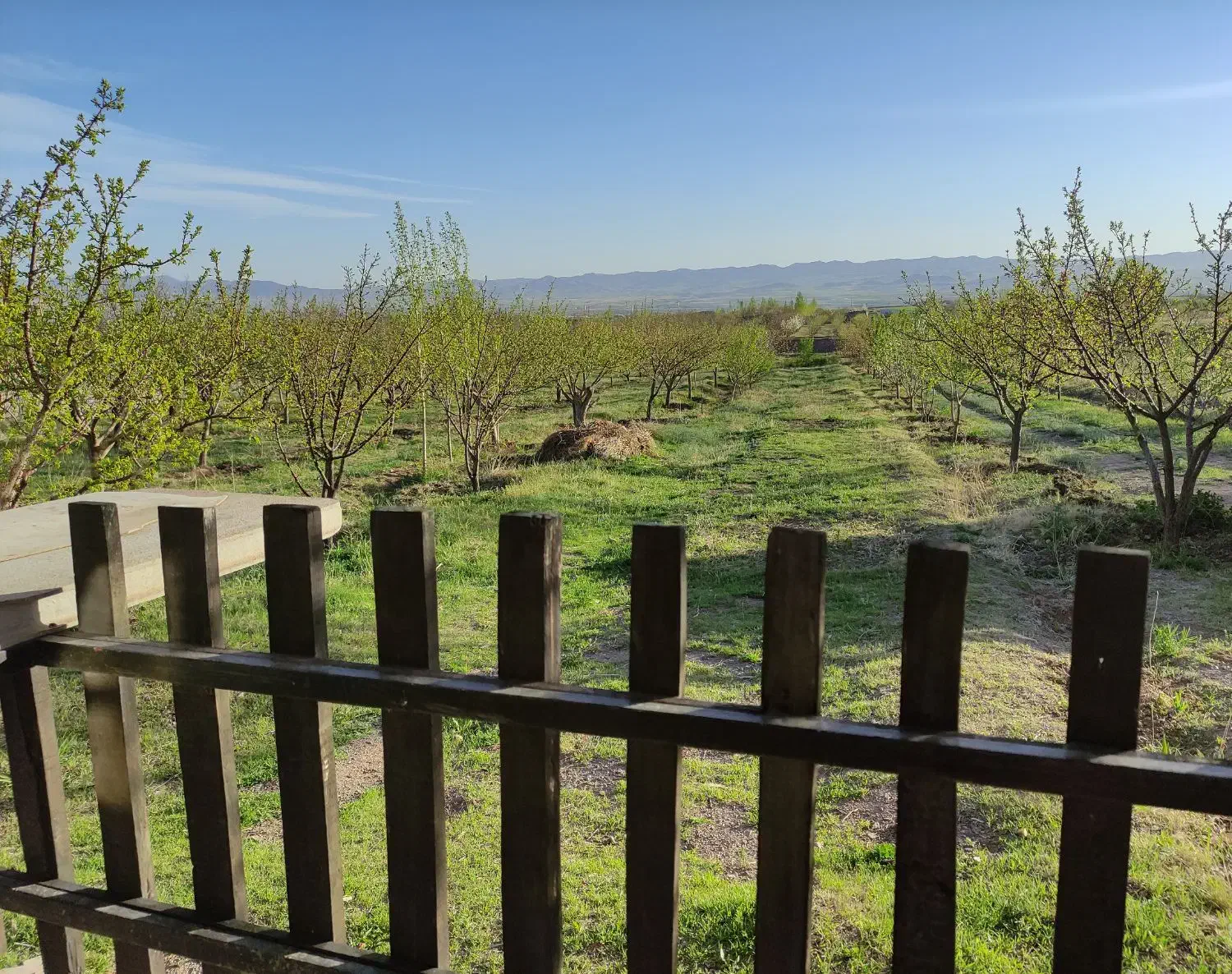 باغ جاده فرودگاه 3کیلومتری شهر|فروش دفتر صنعتی، کشاورزی، تجاری|زنجان, |دیوار