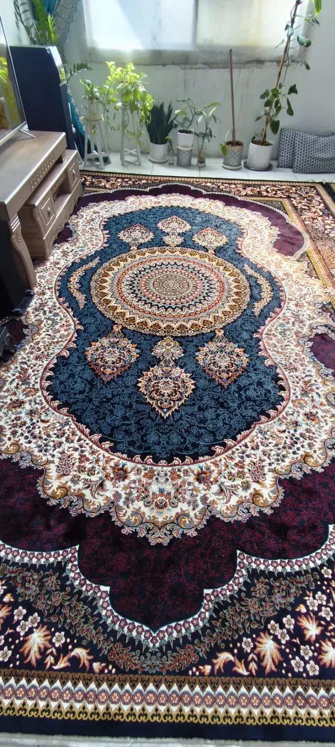 فرش ۱۲ متری|فرش|مشهد, رضاییه|دیوار