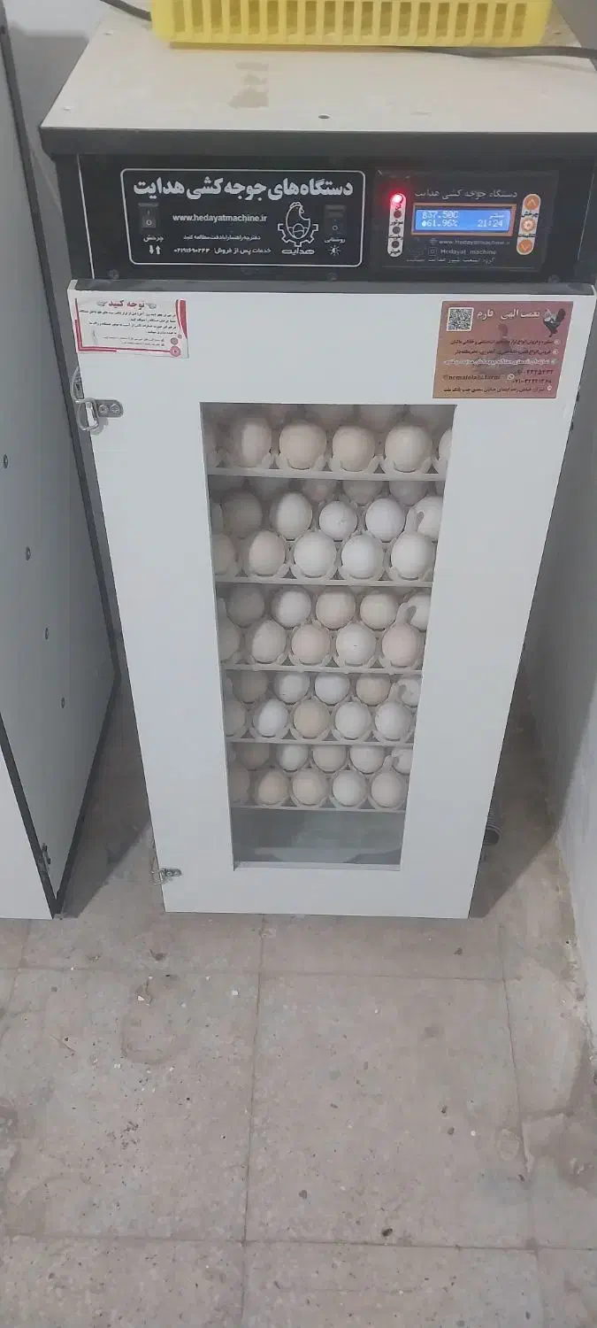 دستگاه جوجه کشی هدایت|ماشین‌آلات صنعتی|زرین دشت (فارس), |دیوار