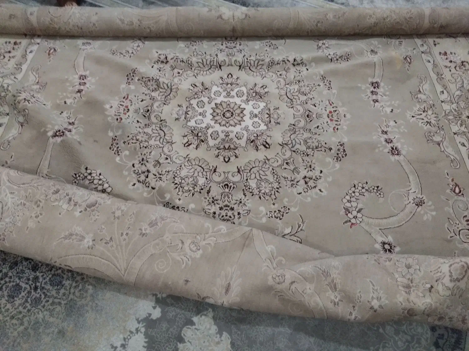 فرش ۷۰۰شانه|فرش|مشهد, نوید|دیوار