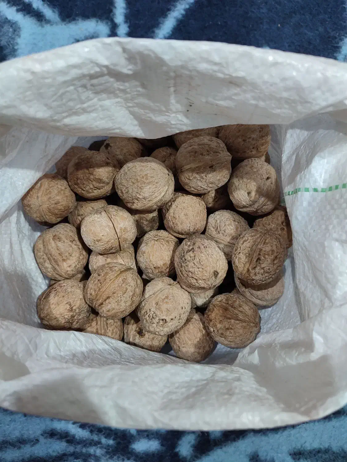 گردو|خوردنی و آشامیدنی|سی‌سخت, |دیوار