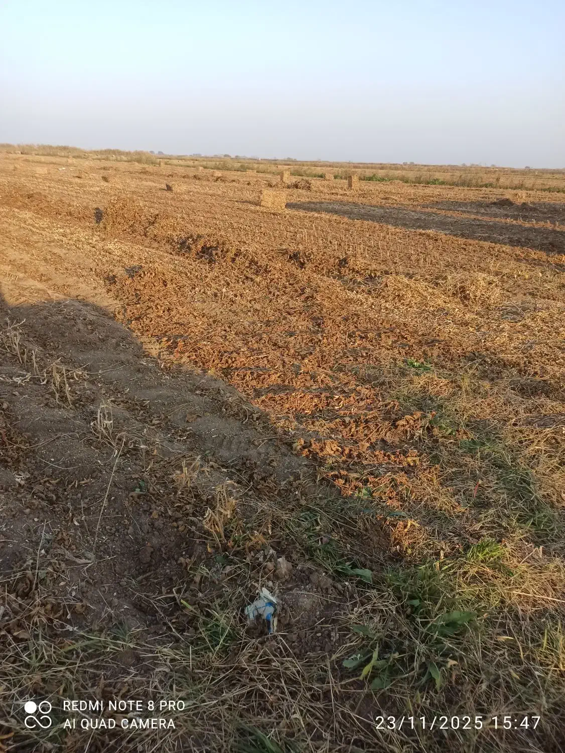 پرس سویا درجه یک|عمده‌فروشی|پارس‌آباد, |دیوار