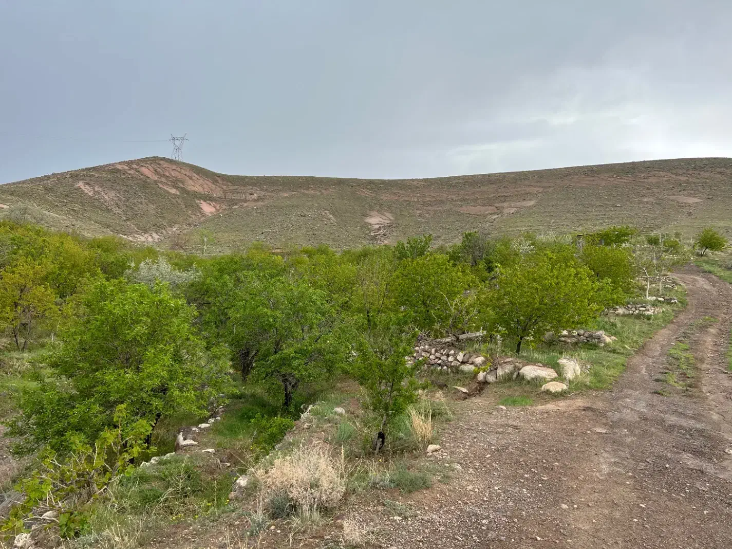 باغ عالی با ویو خاص در اسکو|فروش خانه و ویلا|اسکو, |دیوار