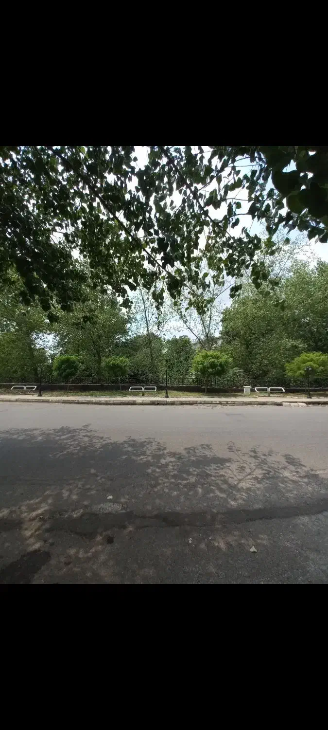 زمین / تجاری / مسکونی  / ۷۵۰۰متری / معلم|فروش زمین و ملک کلنگی|رشت, منظریه|دیوار