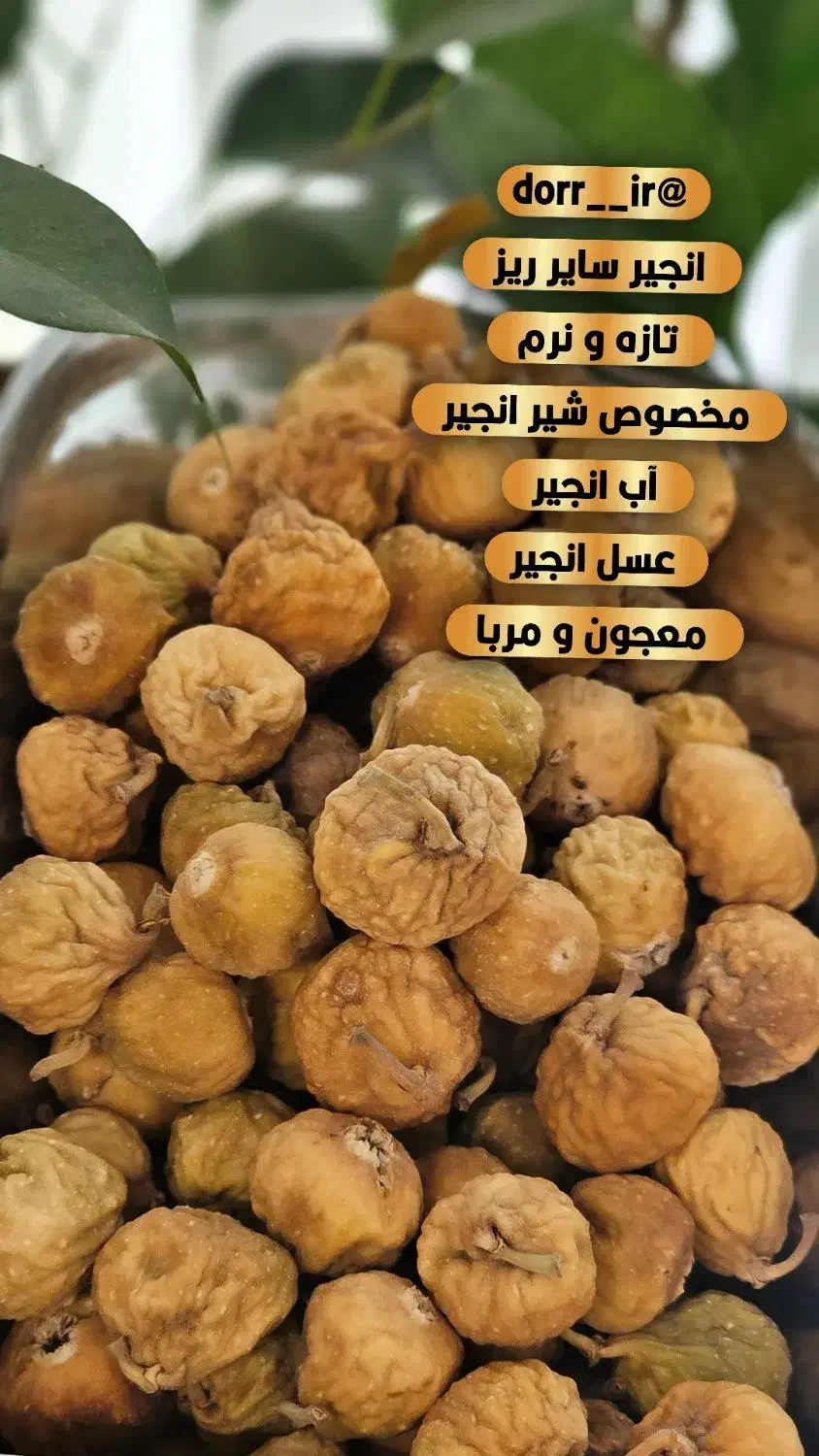 خشکبار انجیر|خوردنی و آشامیدنی|شیراز, طلاب|دیوار