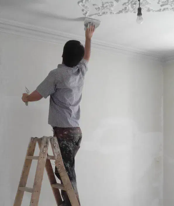 رنگ آمیزی منزل|خدمات پیشه و مهارت|فاضل آباد, |دیوار