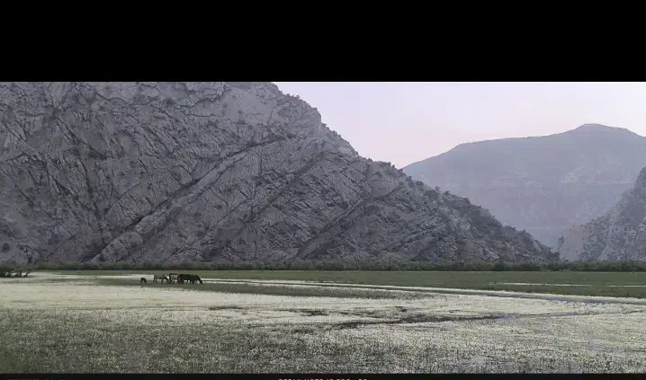زمین مسکونی کوی کارمندان(شهرک الهیه) شاهین شهر|فروش زمین و ملک کلنگی|شاهین‌شهر, فردوسی|دیوار