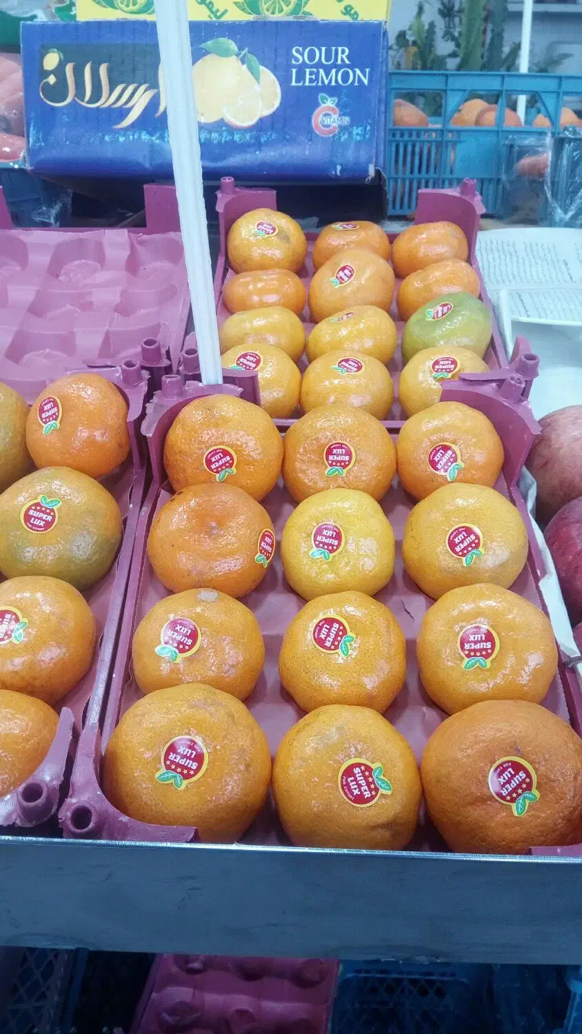 قیمت به روز میوه|خوردنی و آشامیدنی|کاشان, میدان کهنه|دیوار