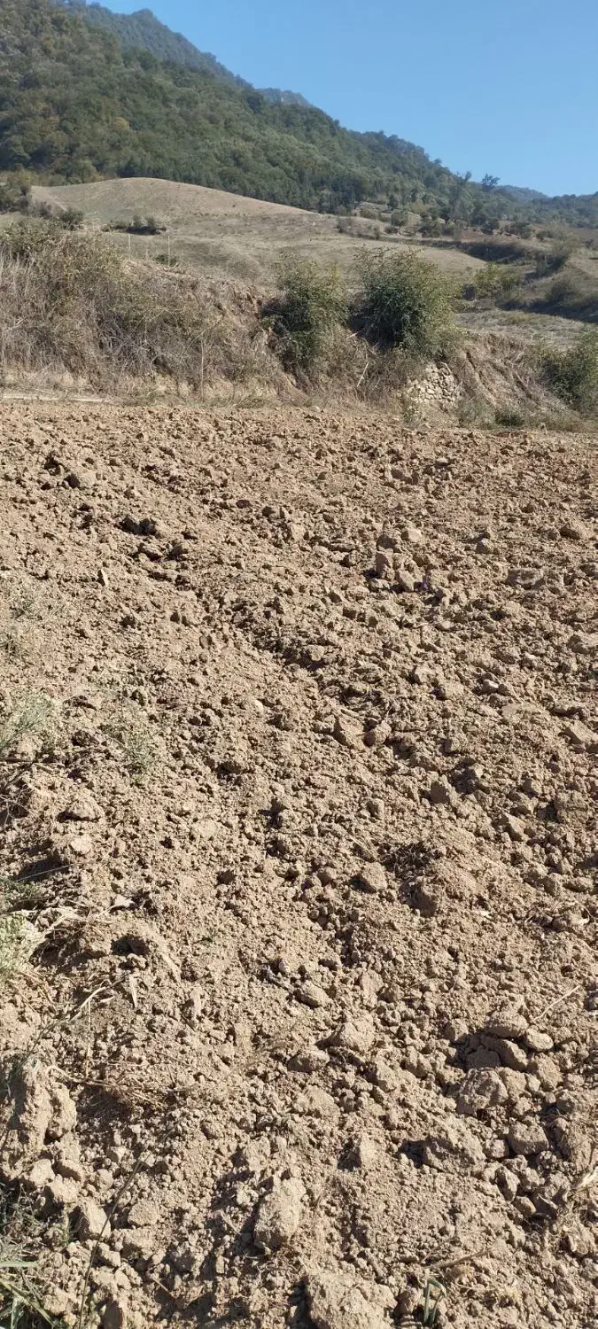 فروش زمین در روستای سوسرا|فروش زمین و ملک کلنگی|نوده خاندوز, |دیوار
