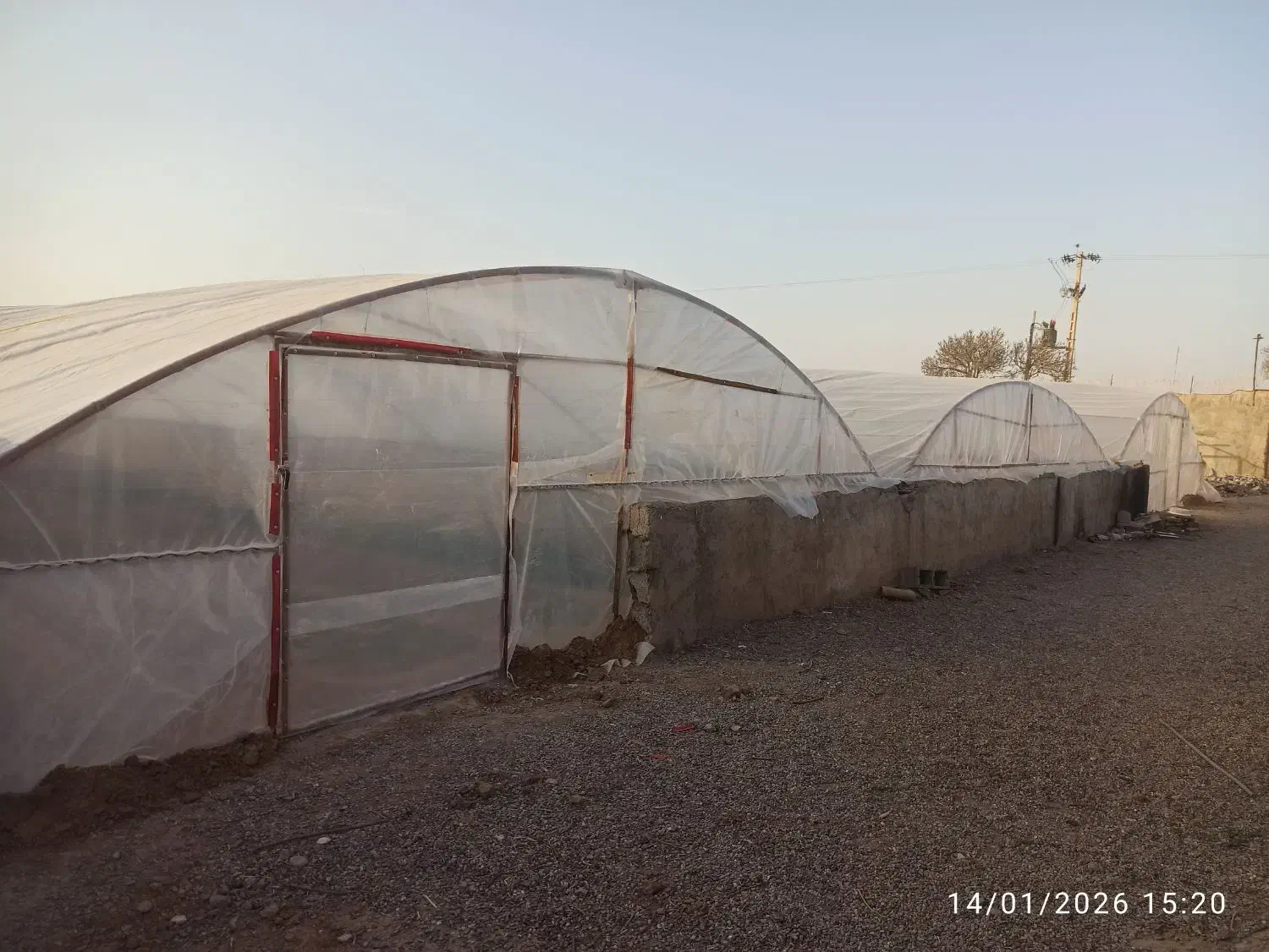 سازه گلخانه 360 متر|عمده‌فروشی|مشهد, کارمندان دوم|دیوار