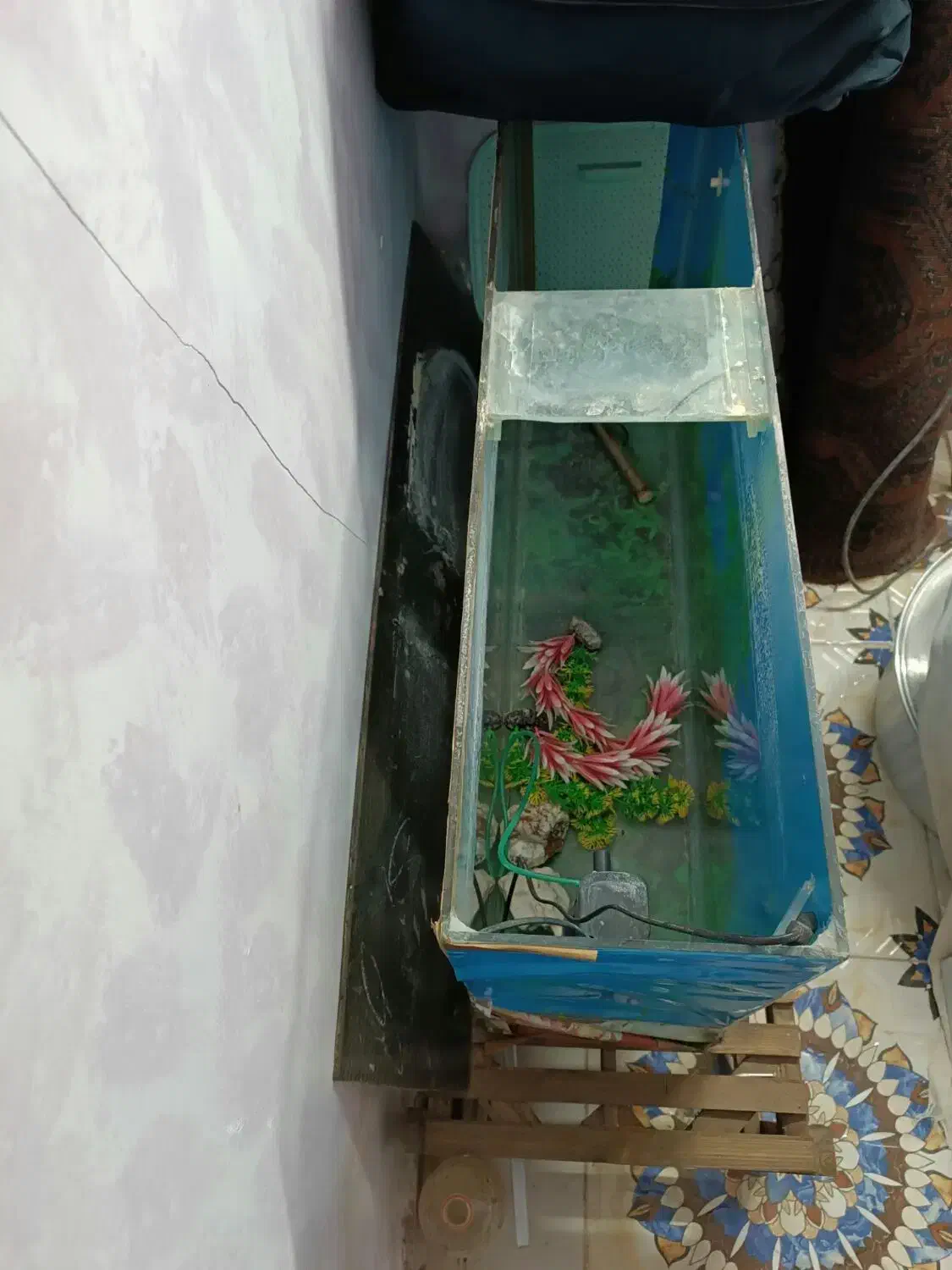 اکواریوم بزرگ|ماهی|خوسف, |دیوار