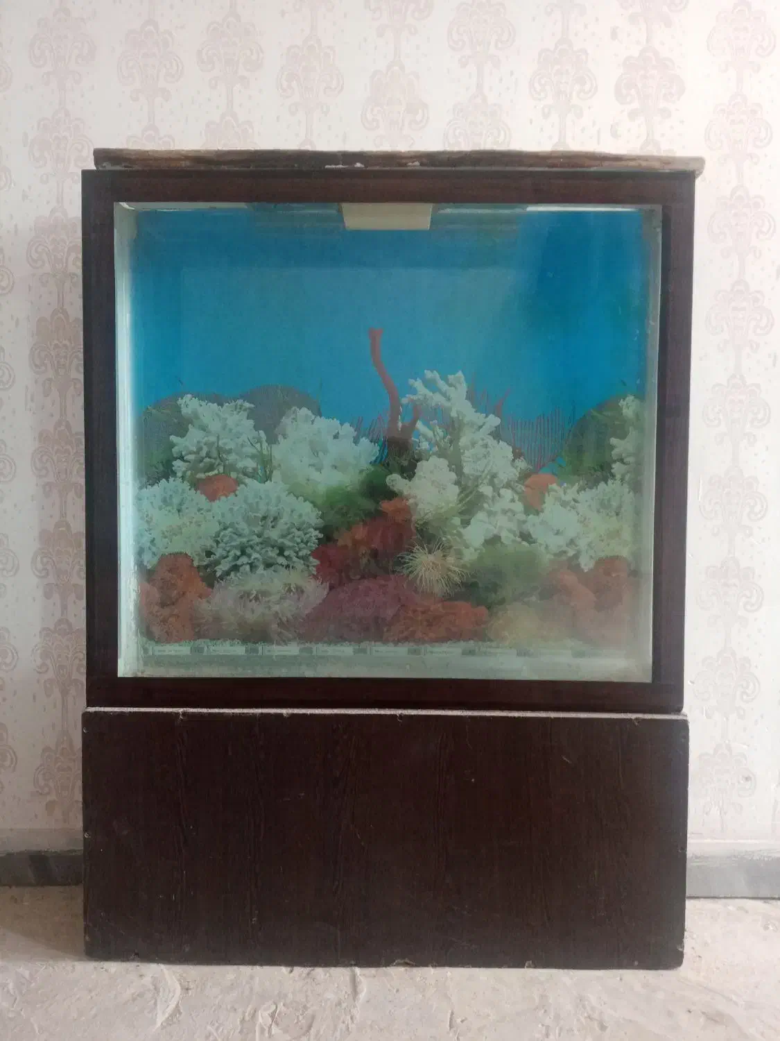 آکواریوم بزرگ|ماهی|قوچان, |دیوار