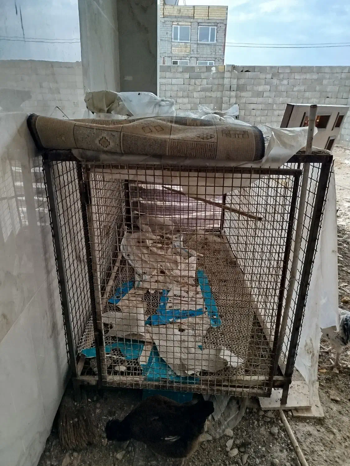 قفس پرنده و مرغ و خروس|لوازم جانبی حیوانات|میانه, |دیوار