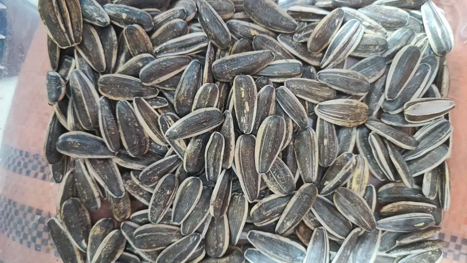 عرضه مستقیم تخمه آفتابگردان به صورت عمده و خرده|خوردنی و آشامیدنی|شیراز, وصال|دیوار