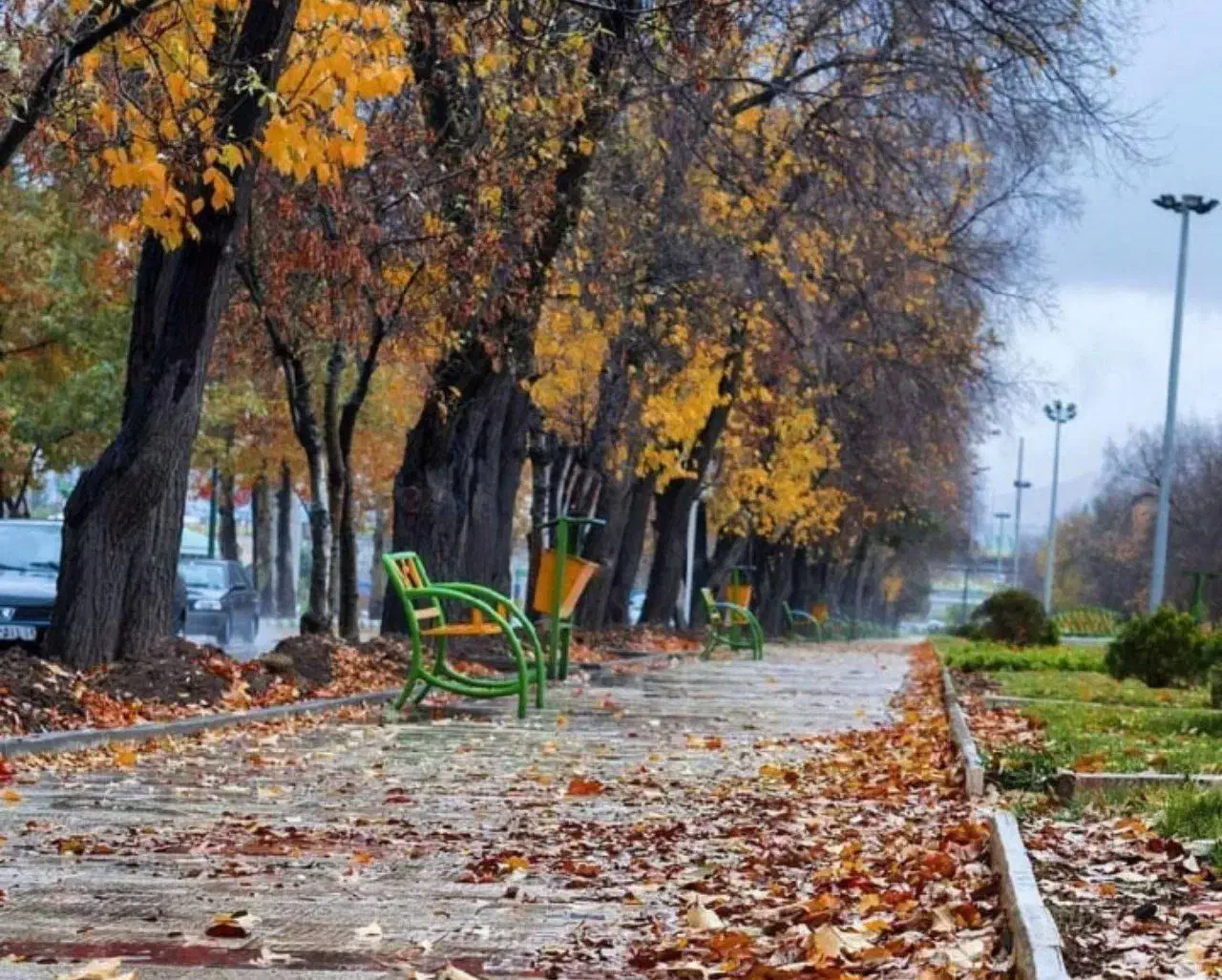 ضامن|فعالیت داوطلبانه|کوهدشت, |دیوار