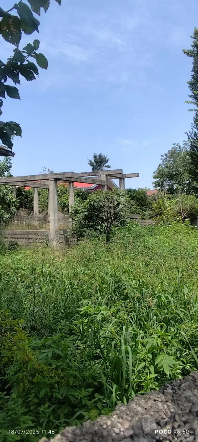 زمین نیمه ساز|فروش زمین و ملک کلنگی|ماکلوان, |دیوار