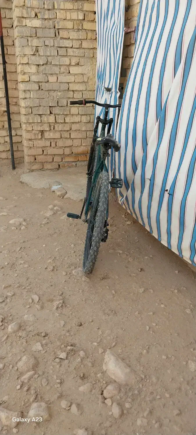 دوچرخه ۲۶|دوچرخه، اسکیت، اسکوتر|طسوج, |دیوار