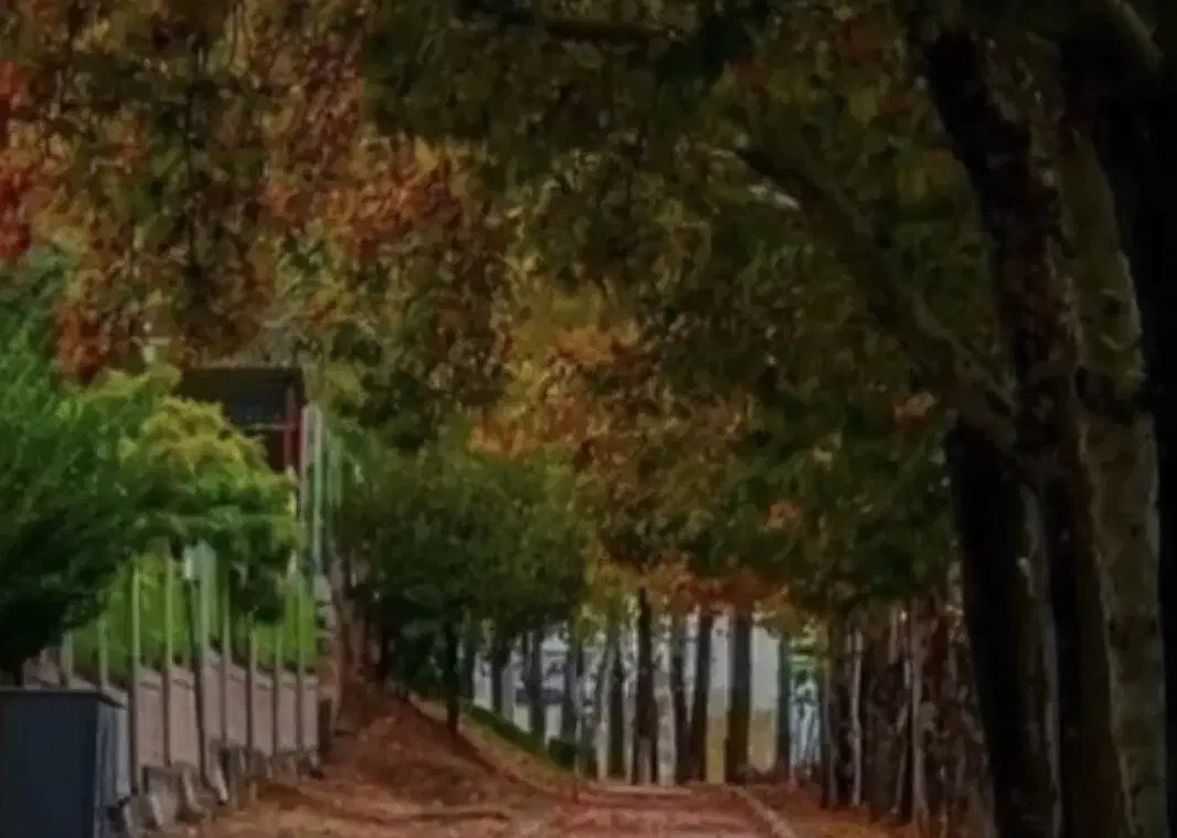 زمین مسکونی زینب ابادخان ببین|فروش زمین و ملک کلنگی|خان ببین, |دیوار