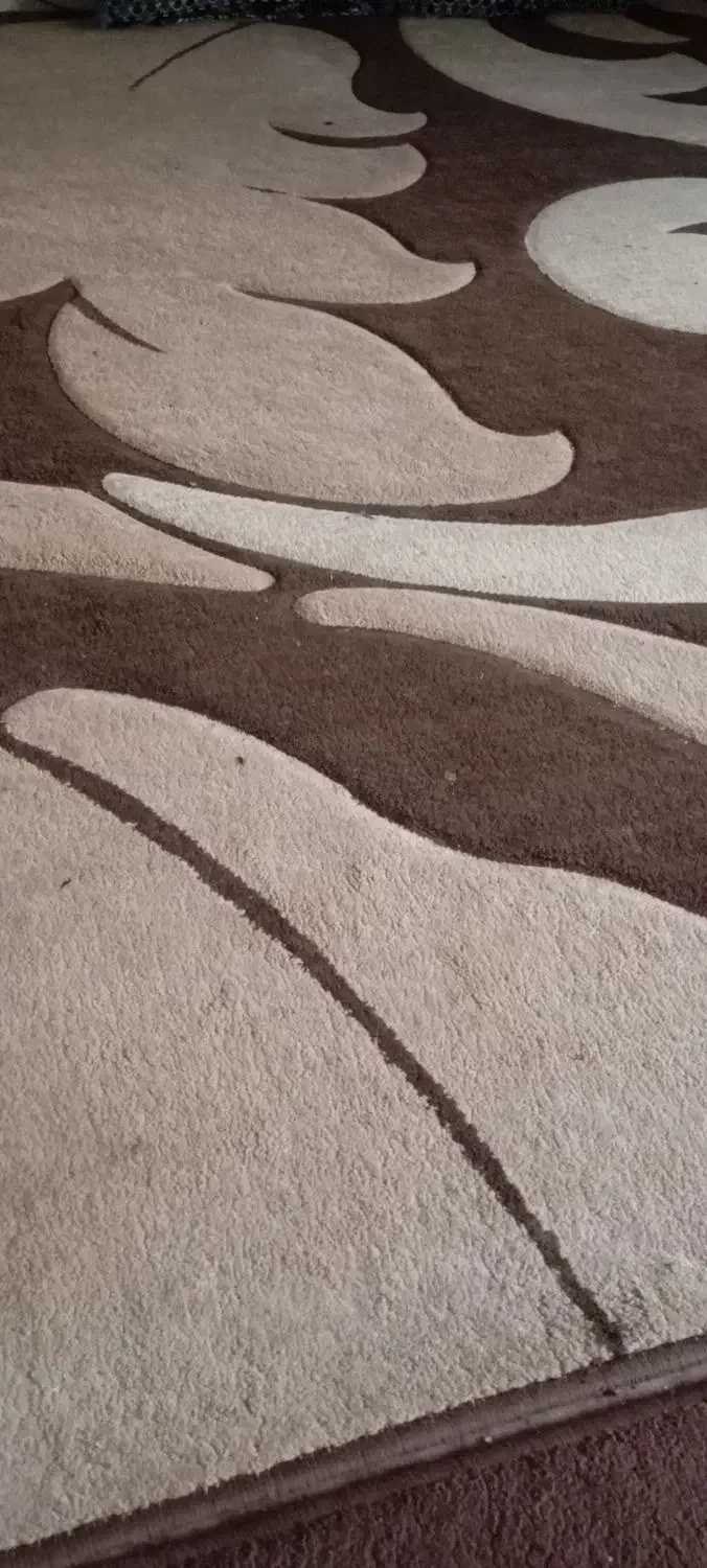 دو عدد گلیم فرش|گلیم، جاجیم، گبه|زاهدان, |دیوار