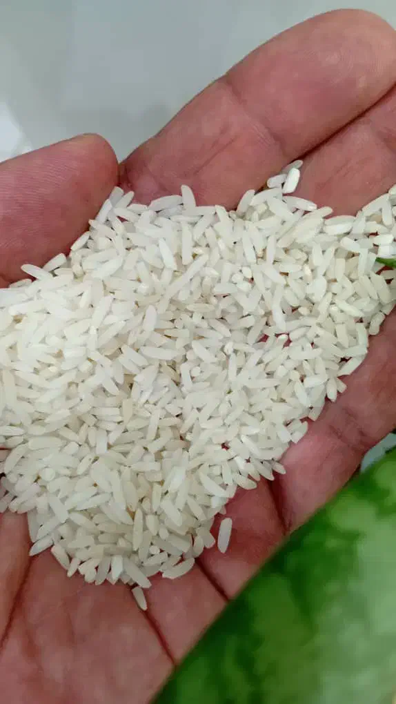 ۳۰۰ کیلو لاشه هاشمی تمیز خودم کشاورزم|خوردنی و آشامیدنی|تولم شهر, |دیوار