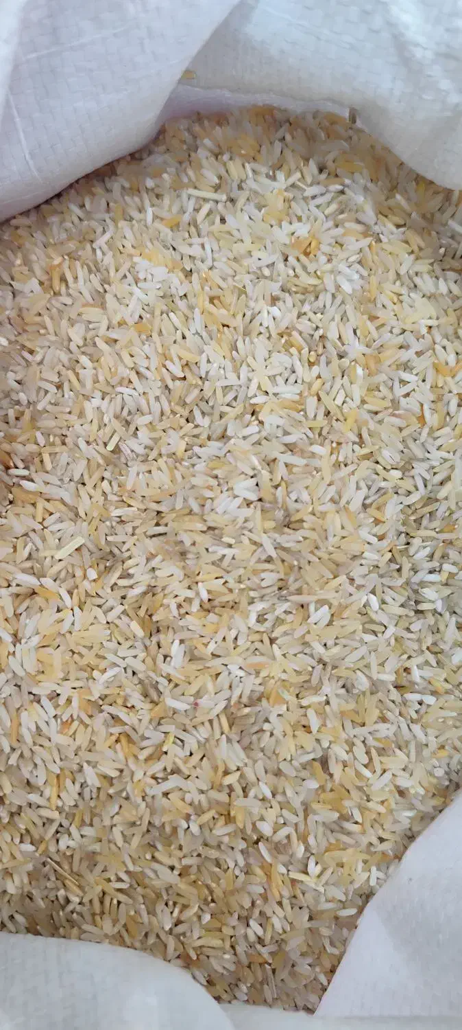 برنج هاشمی|خوردنی و آشامیدنی|تبریز, |دیوار