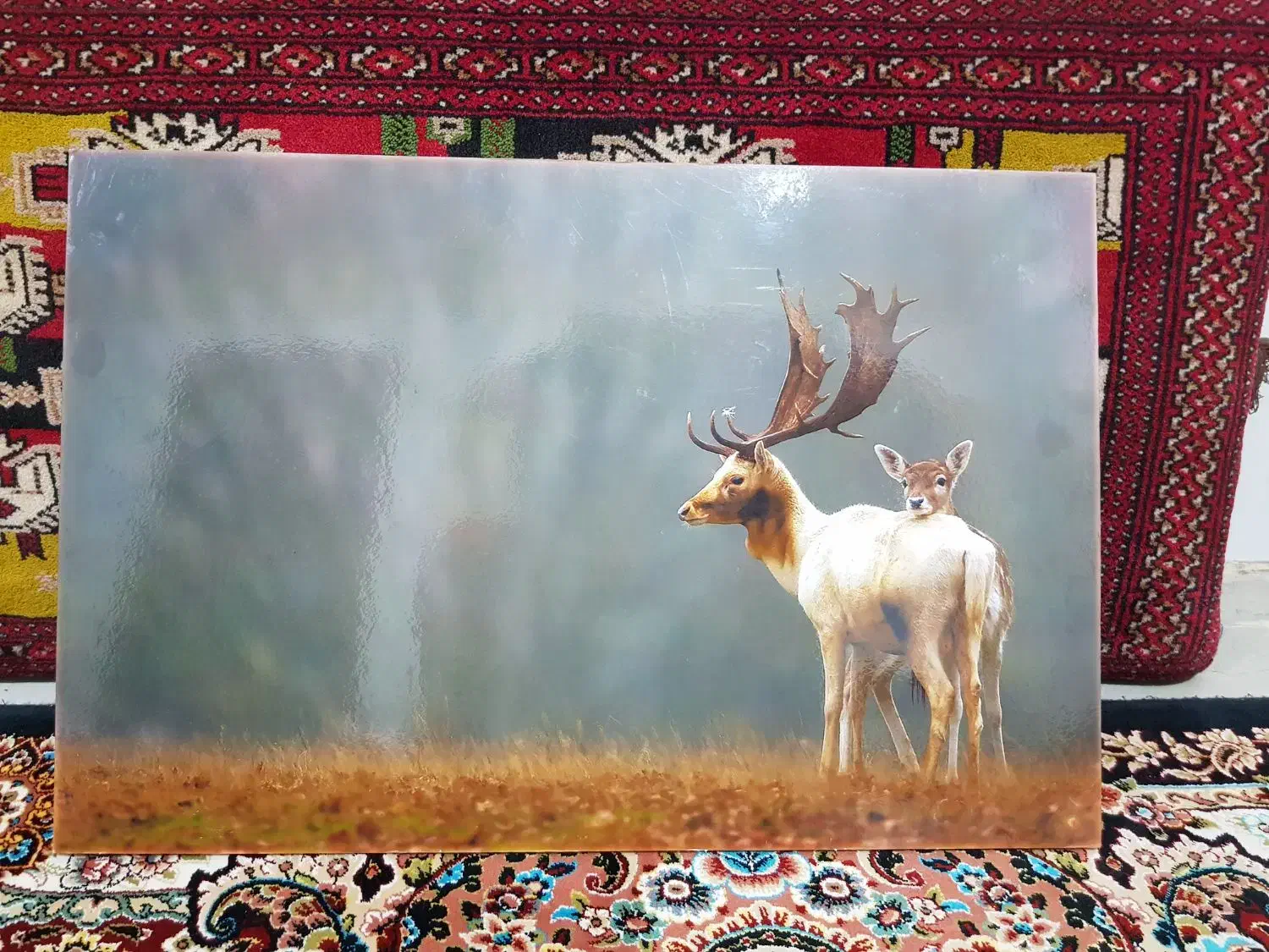 تابلو شیک و زیبا|تابلو، نقاشی، عکس|گرگان, |دیوار