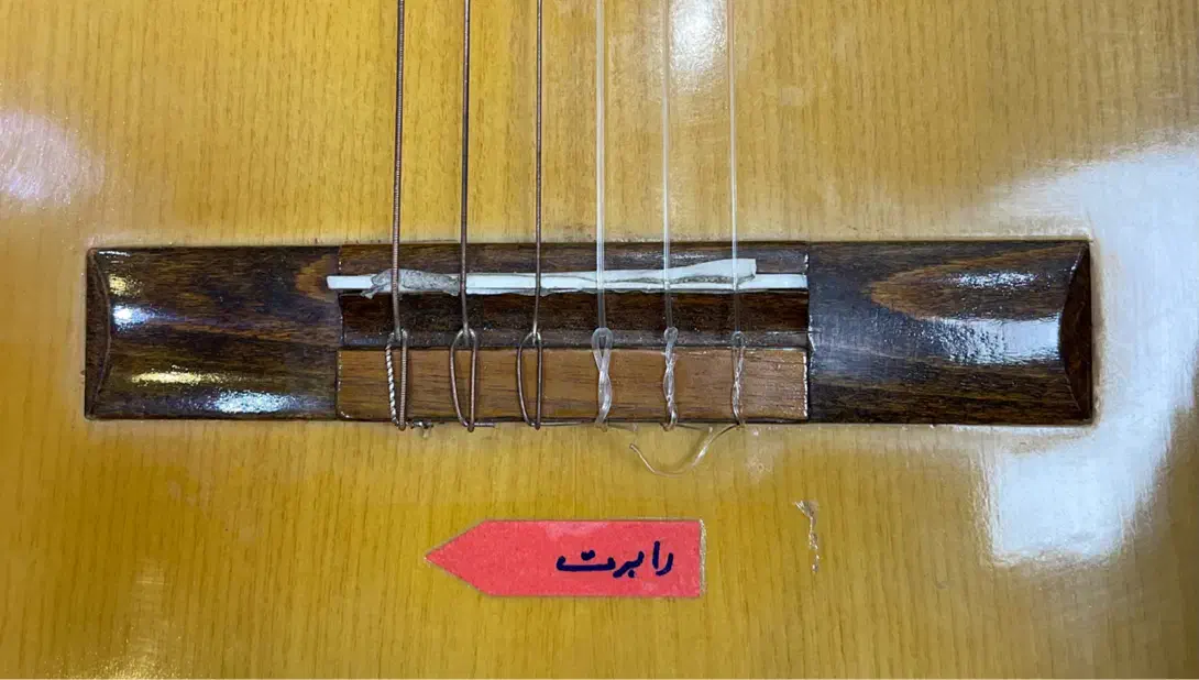 گیتار مدل رویال کلاسیک|گیتار، بیس، امپلیفایر|فردیس, فردیس|دیوار