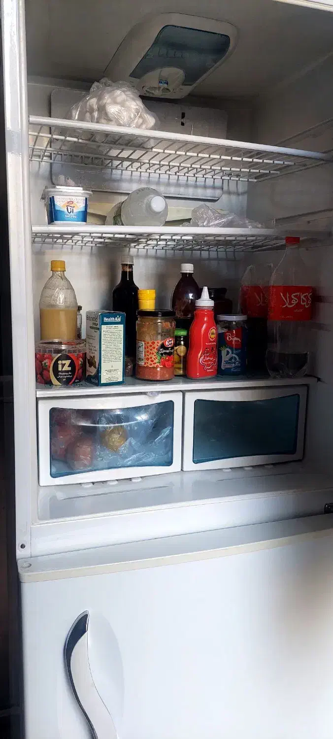 یخچال و فریزر|یخچال و فریزر|مشهد, کوشش|دیوار