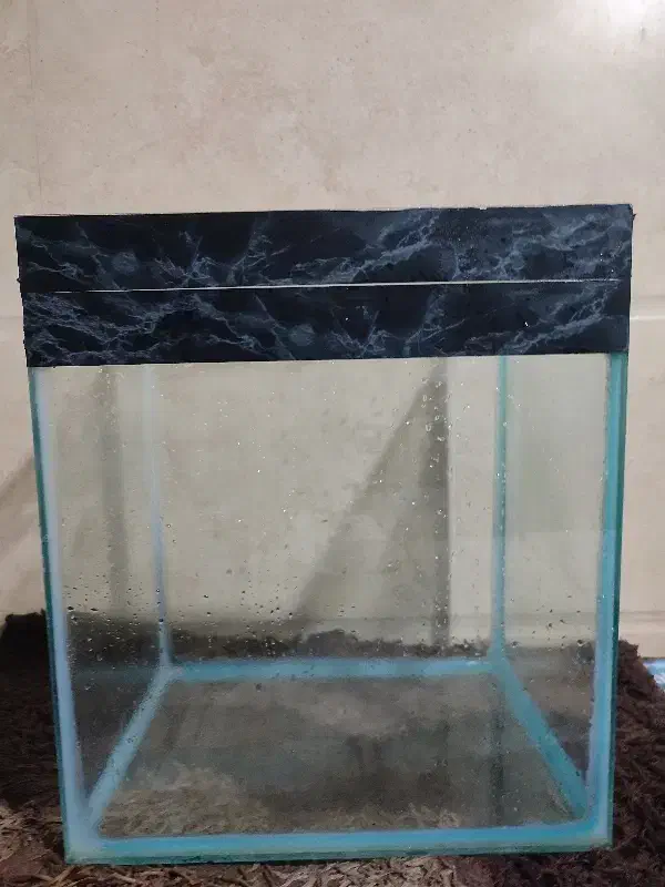 آکواریم و وسایل جانبی آکواریم|ماهی|اراک, |دیوار