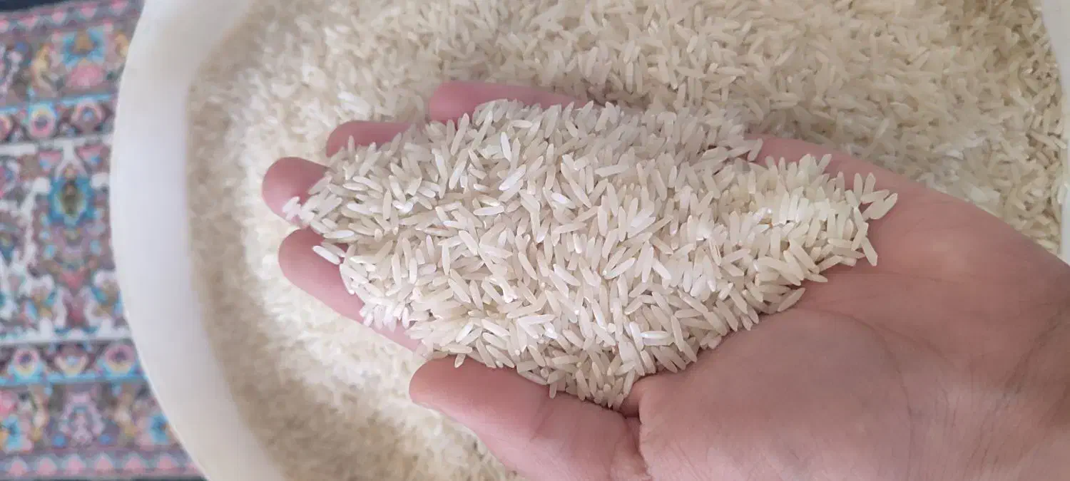 برنج سالو ونیم دانه طارم رودبار|خوردنی و آشامیدنی|کوهدشت, |دیوار