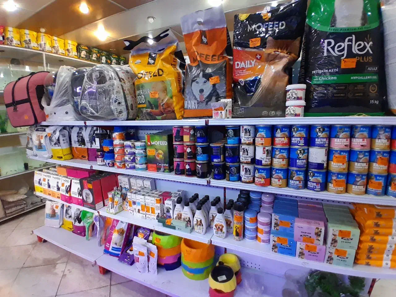 آکواریم ماهی  گوپی اسکار سیچلاید  آروانا مولی|ماهی|ری, فیروزآبادی|دیوار