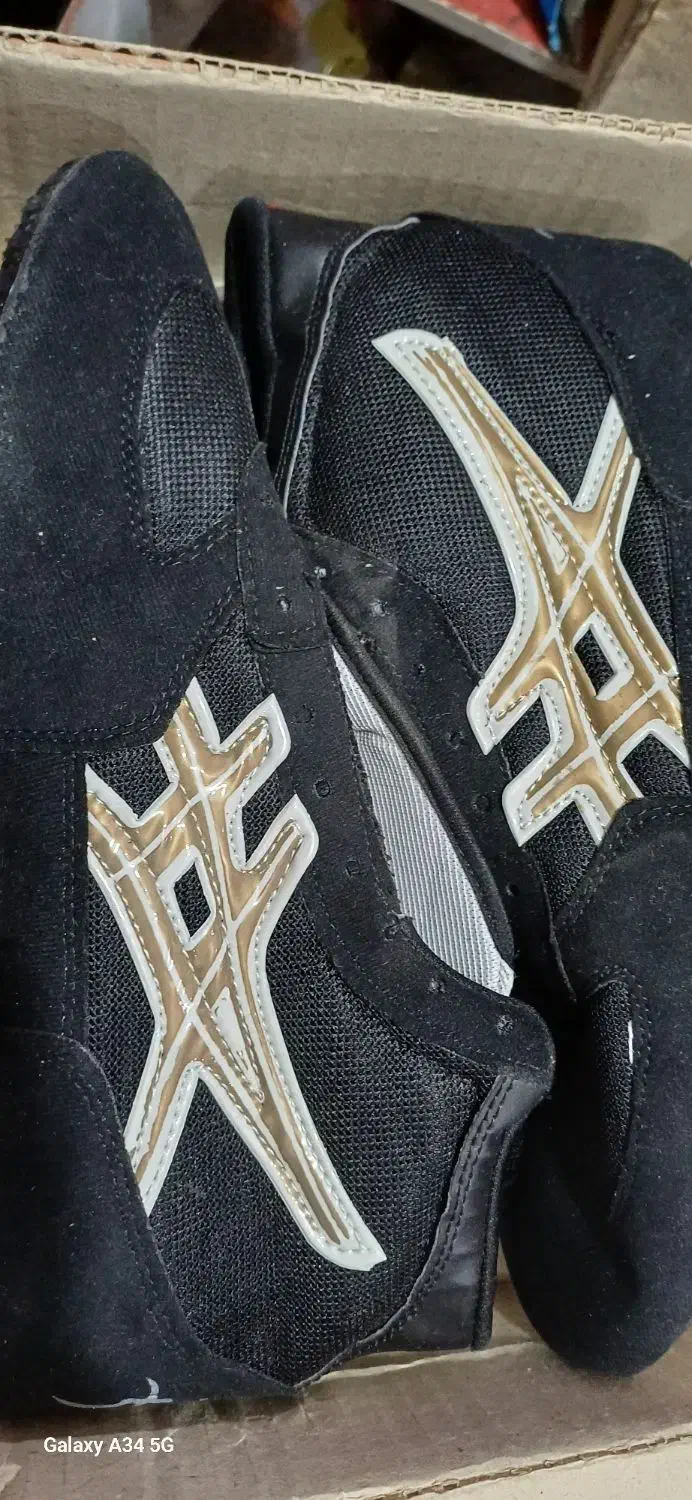 کفش کشتی|کیف، کفش، کمربند|مشگین شهر, |دیوار