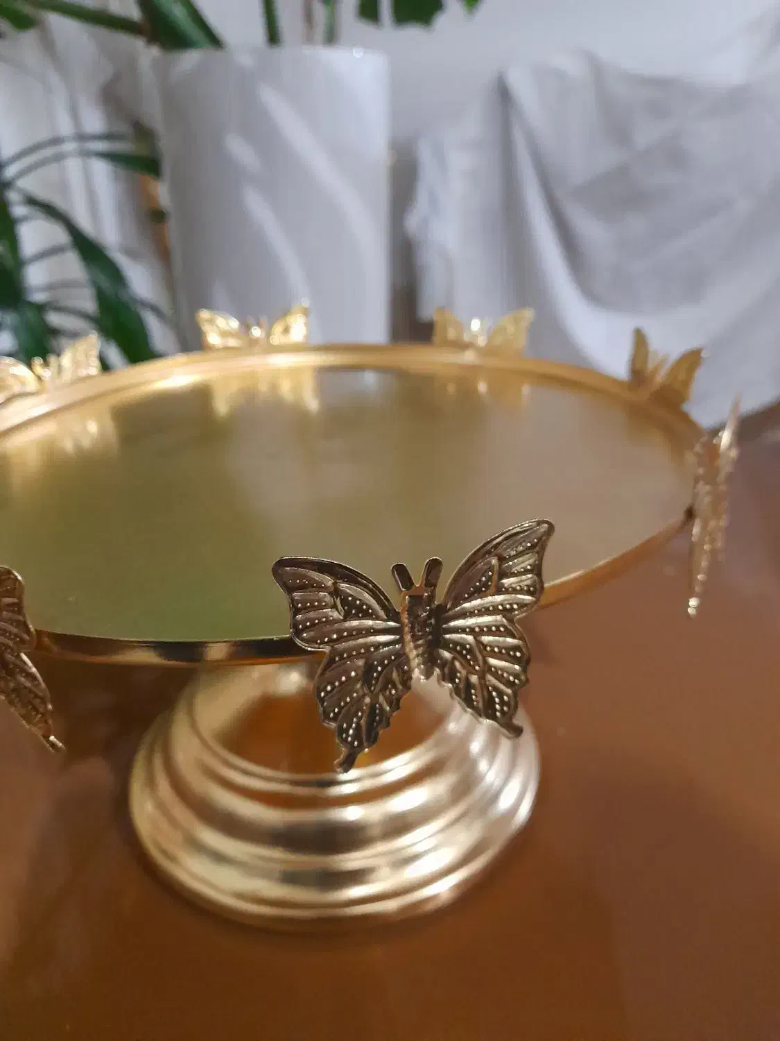 ظرف کیک|ظروف سرو و پذیرایی|تربت‌حیدریه, قائم|دیوار