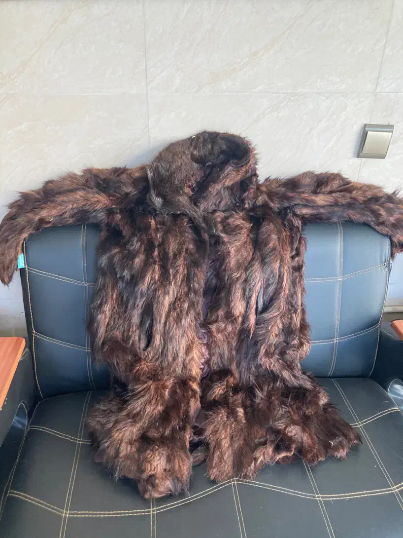 پالتو|لباس|محمدشهر, محمدشهر|دیوار