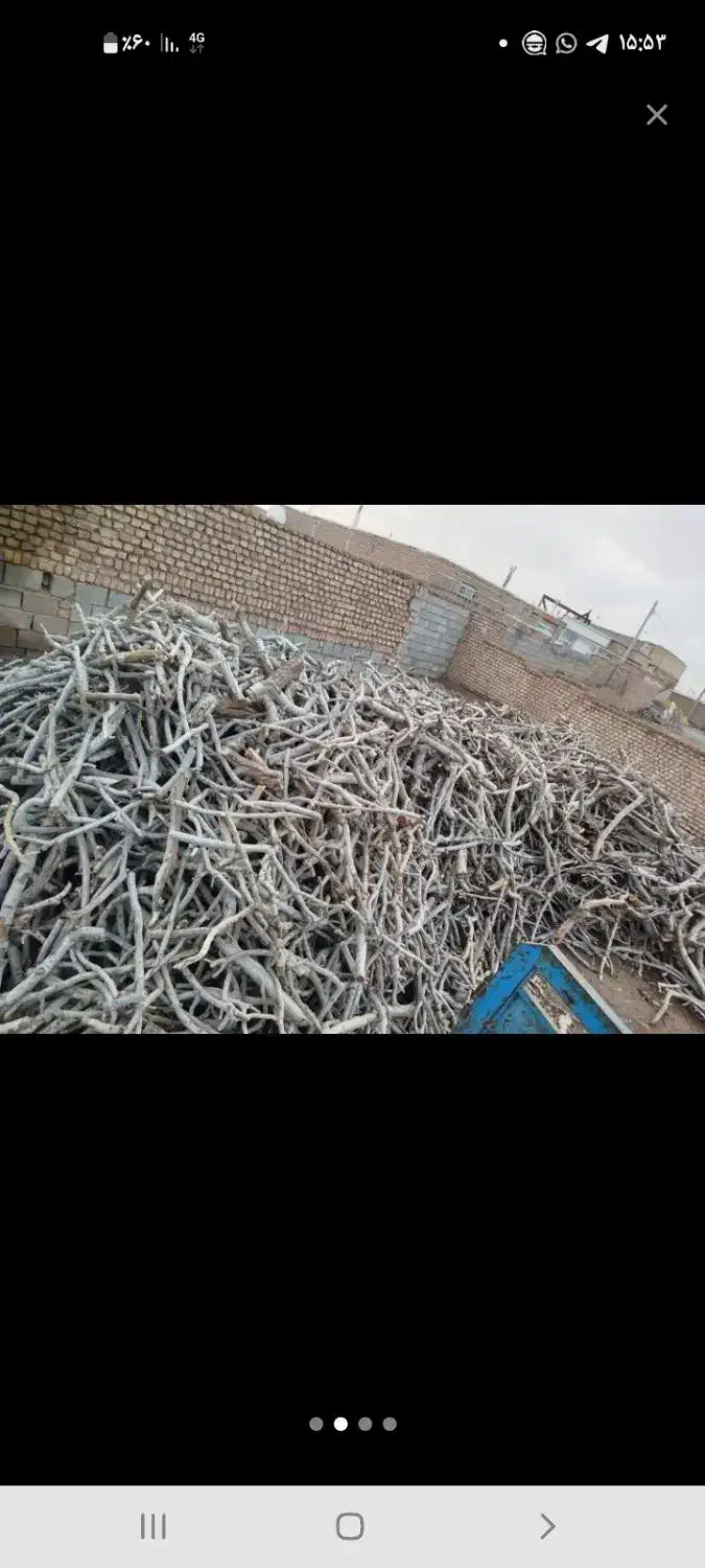 چوب پسته|حراج|تربت جام, پارک جنگلی|دیوار