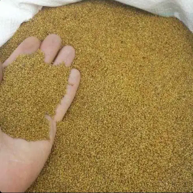 بذر علف یونجه امریکایی|گل و گیاه طبیعی|سراوان, |دیوار