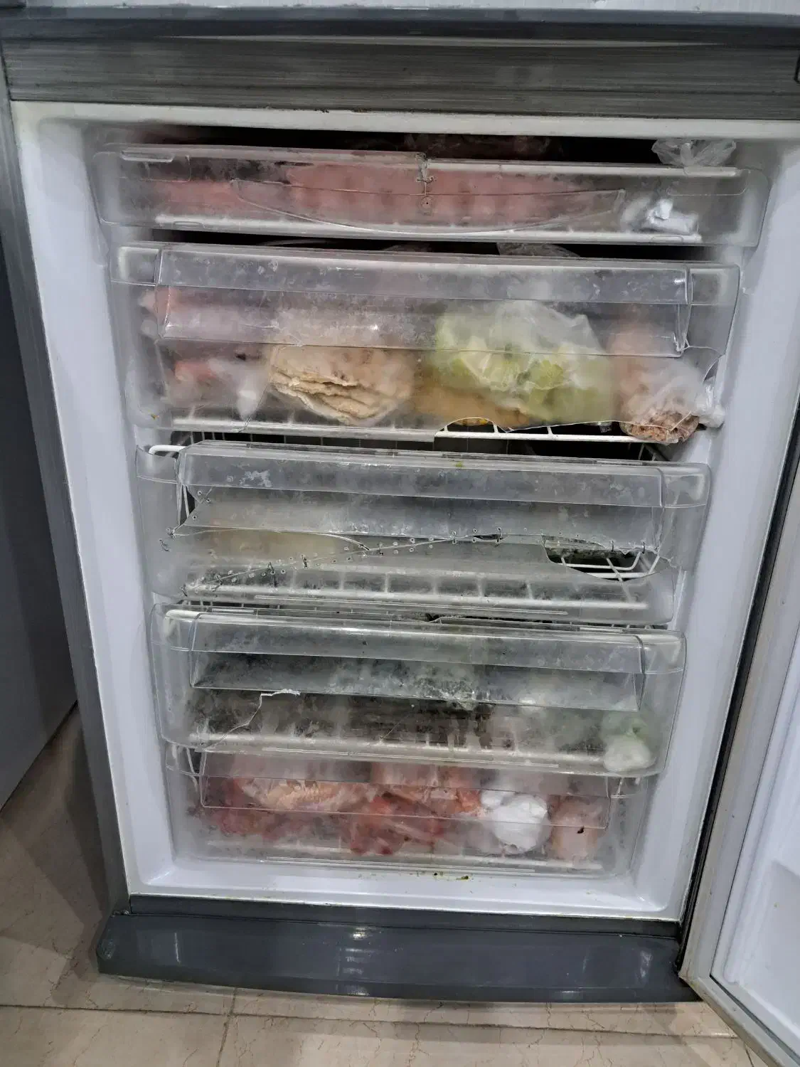 یخچال سینور|یخچال و فریزر|رشت, معلولین|دیوار