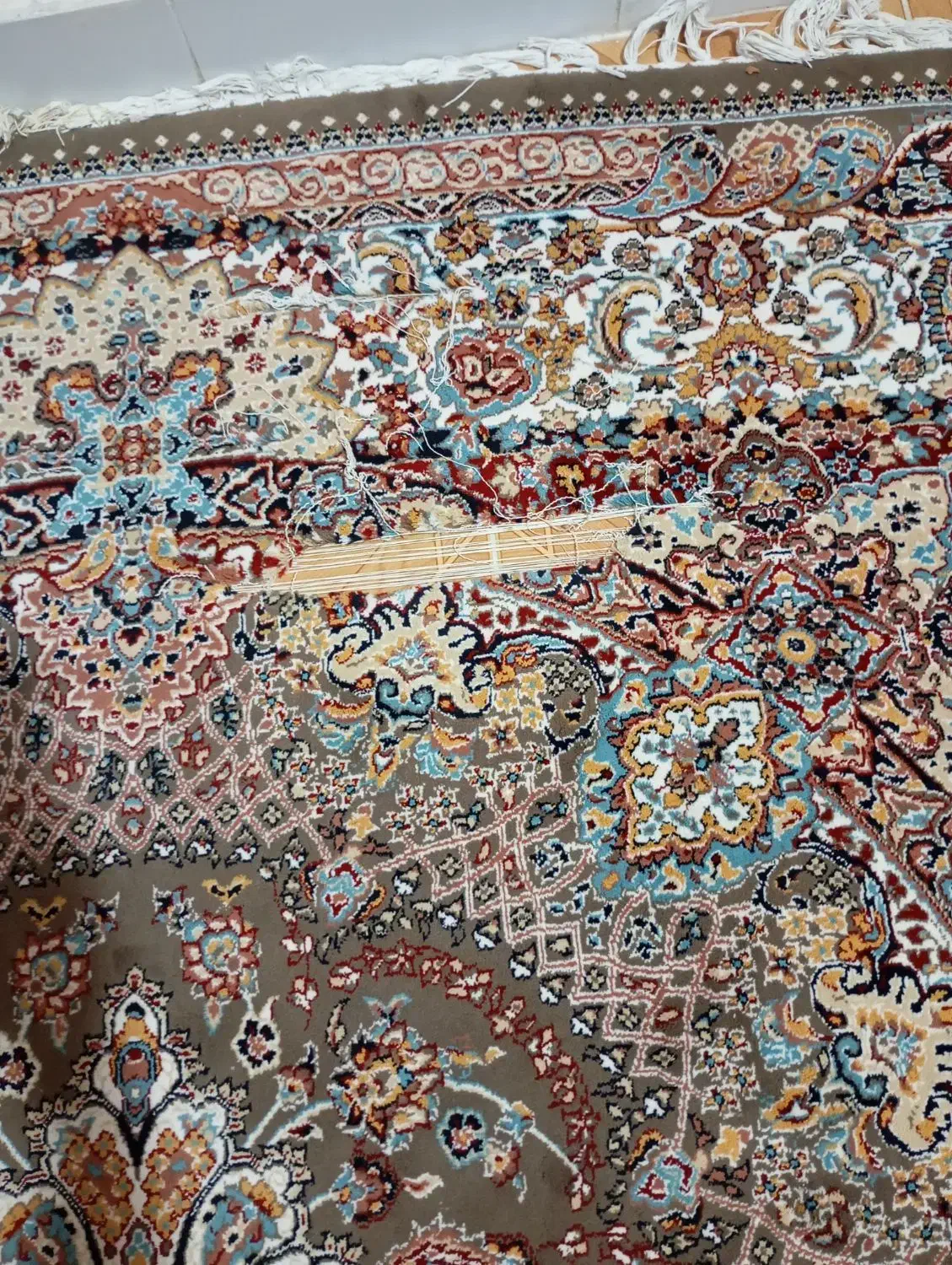 فرش ۶ متری یکم پارگی دارع|فرش|اقبالیه, |دیوار