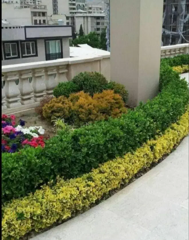 خدمات|خدمات باغبانی و درختکاری|اراک, |دیوار