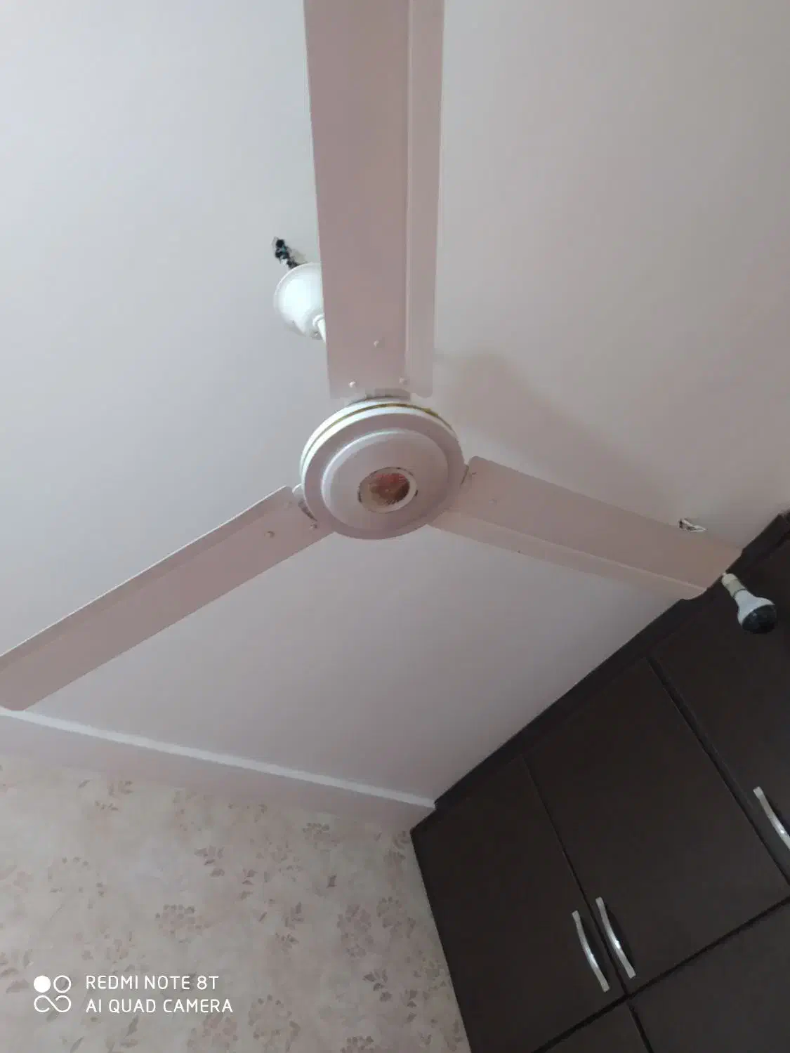 پنکه سقفی سالم|پنکه و تصفیهکنندهٔ هوا|شوشتر, |دیوار