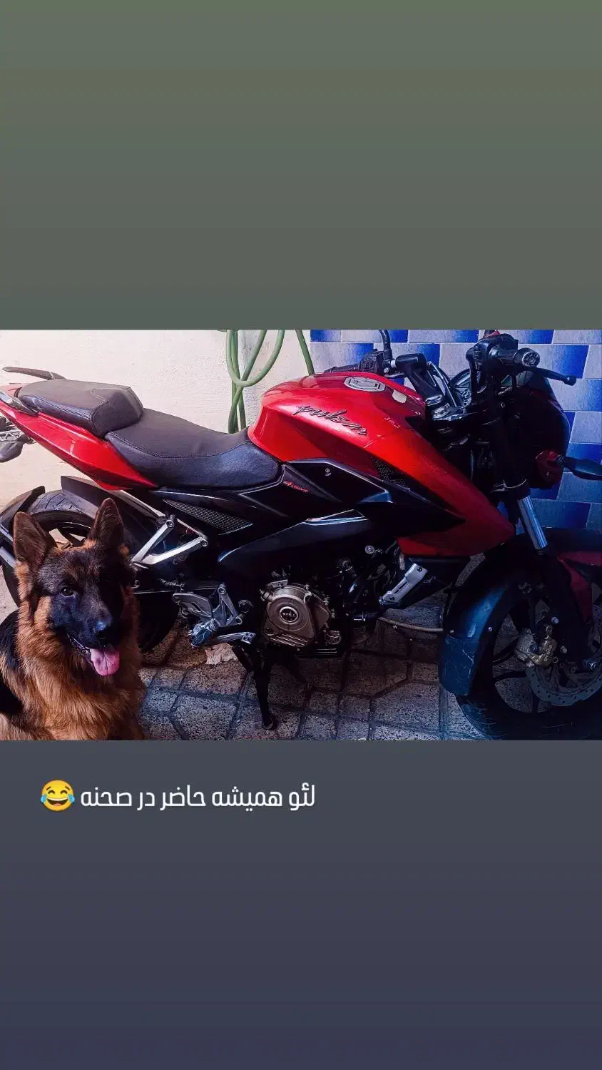 ان اس 200 ار اس 200 ns200 rs200|موتورسیکلت|شاهدشهر, |دیوار