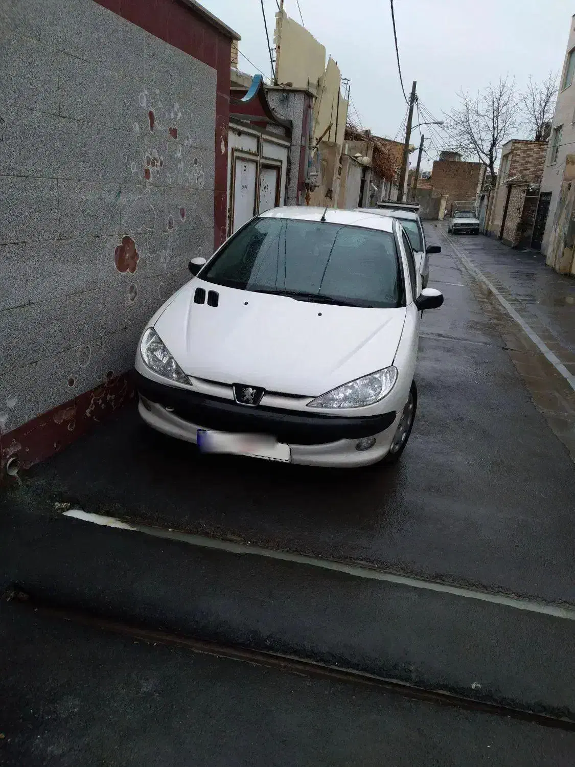 ۲۰۶ مدل ۱۳۸۹|خودرو کلاسیک|کرج, آق تپه|دیوار