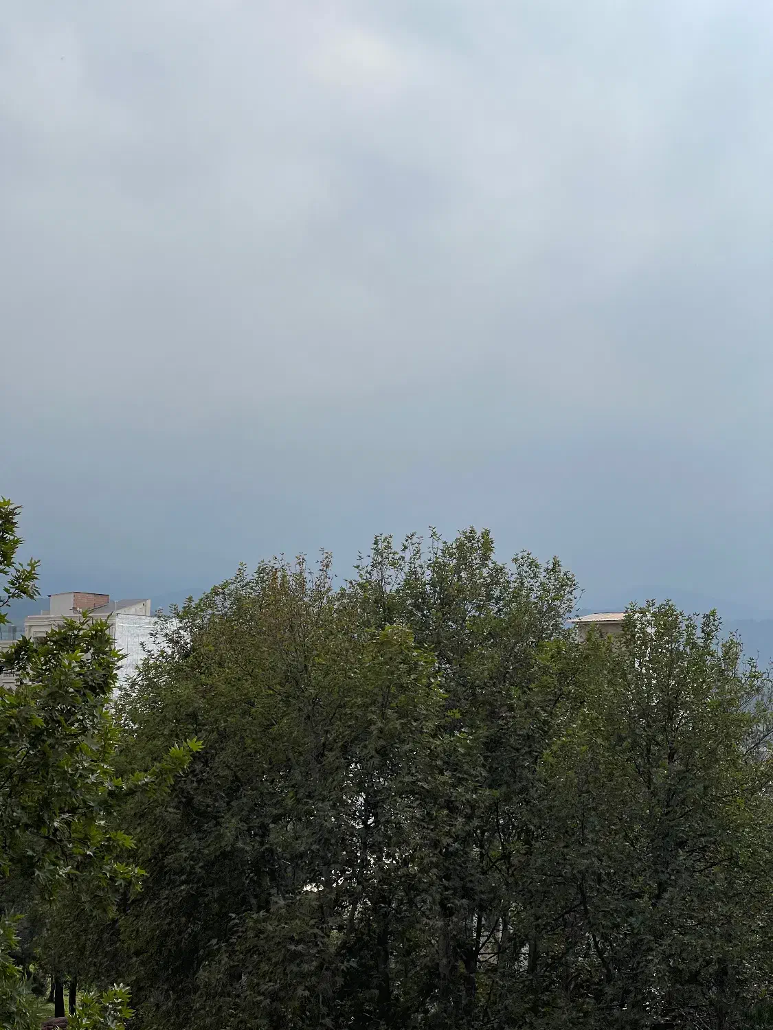 آپارتمان ۱۵۸ متری زیباشهر|فروش آپارتمان|گرگان, |دیوار