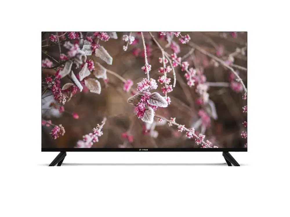 تلوزیون اسنوا ارسال رایگان از کارخانه|تلویزیون و پروژکتور|بروجن, |دیوار